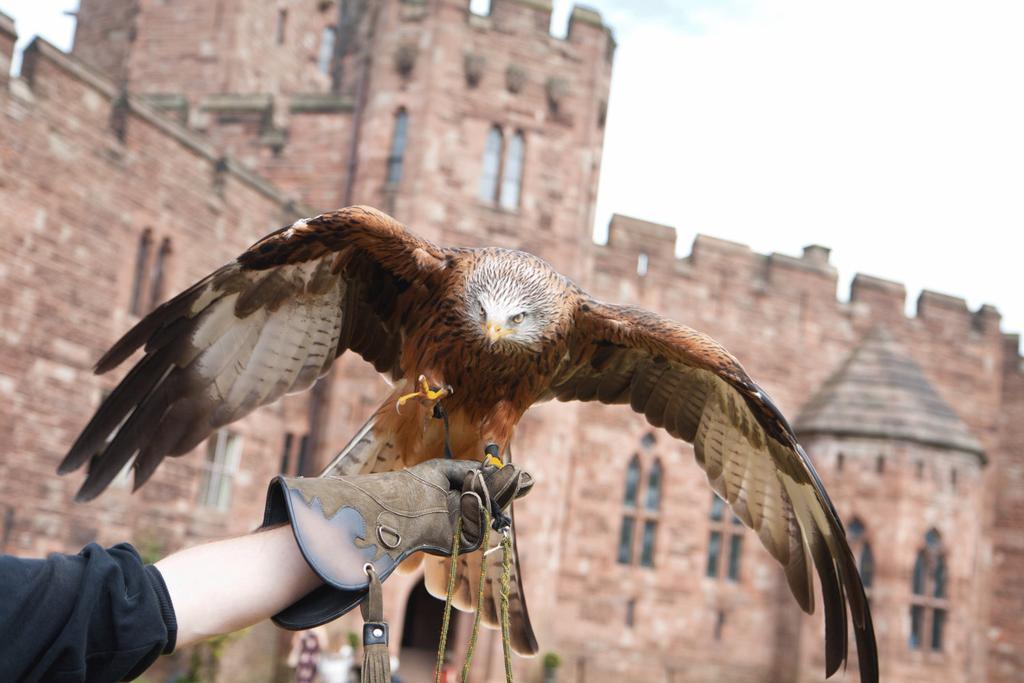 Peckforton Castle Tarporley Kültér fotó